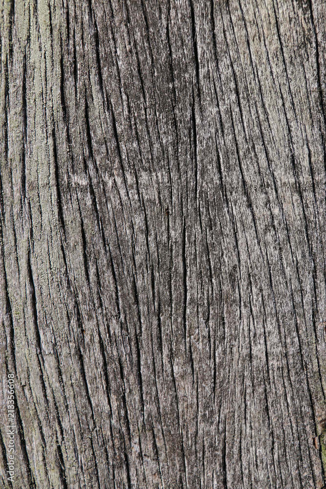 Old grungy wood planks background texture. Old grungy wood planks background texture.
