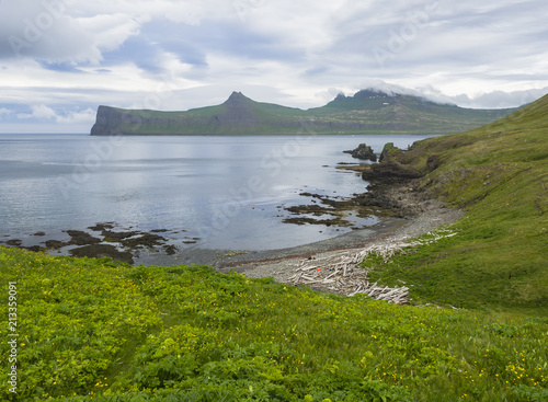 Scenic view on Hornbjarg cliffs in west fjords, remote nature reserve Hornstrandir in Iceland, with lush green grass meadow, yellow flowers, rocky pebble coast, wooden logs, sea and blue sky clouds photo