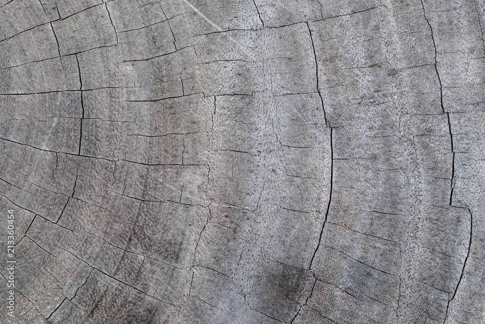 Fototapeta premium Grunge wood background.