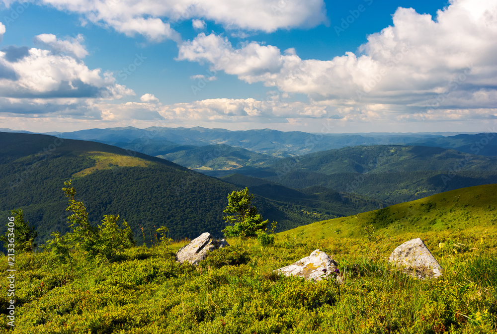 Fototapeta premium three boulders on grassy hillside of Runa mountain under the summer sky. fluffy clouds over the Polonina Carynska and Wielka Rawka mountain in the far distance