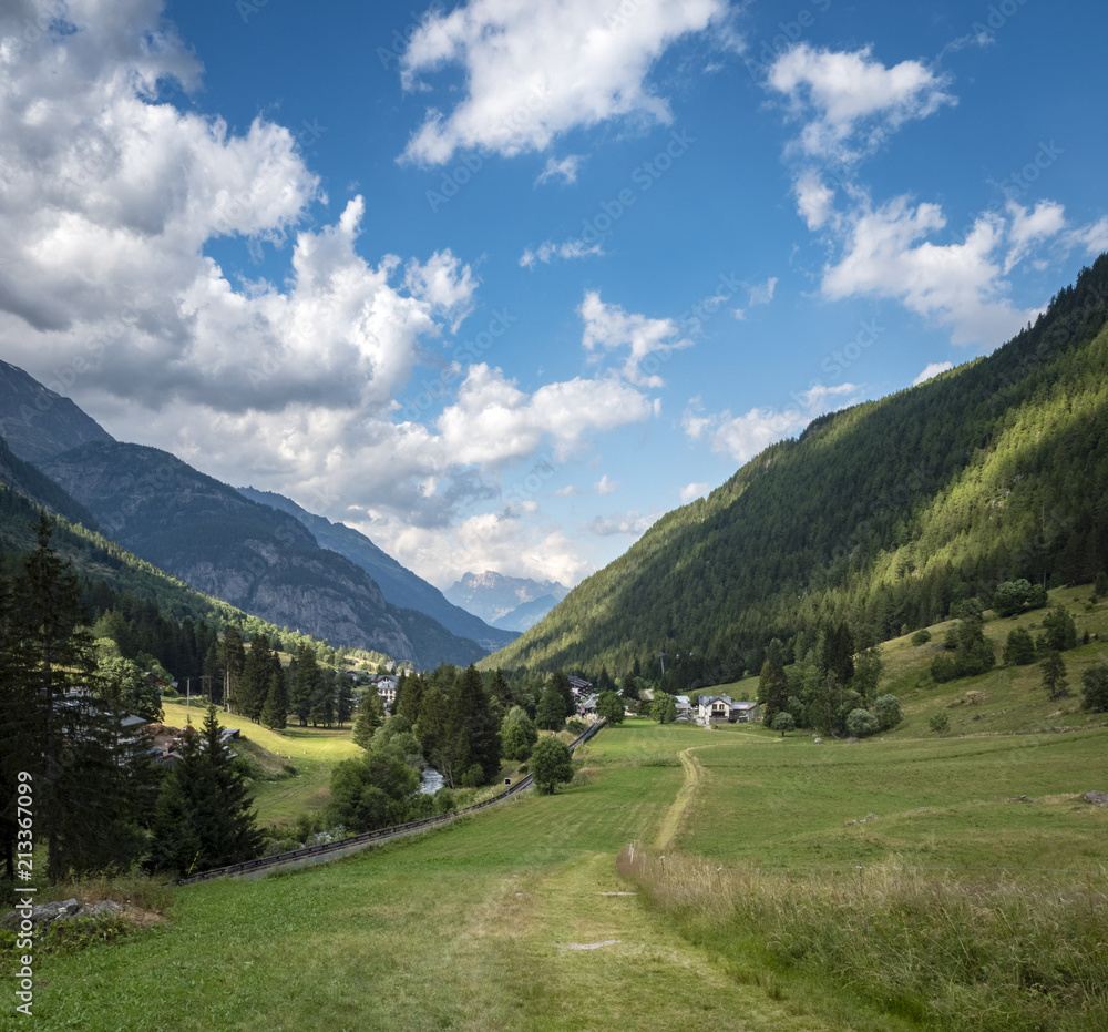 a view of the chamonix valley from the alpine mountains in the Vallorcine area with foreground of alpine meadows on a clear summer day with blue sky and bright clouds