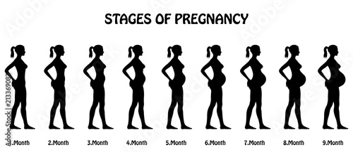 Stages of pregnancy silhouettes