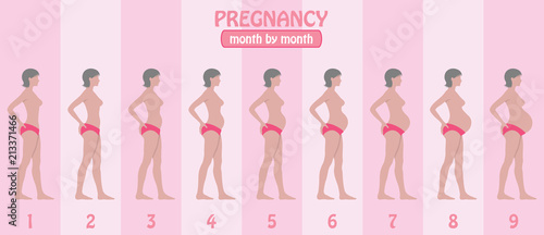 Month by month pregnancy stages of pregnant woman with pants