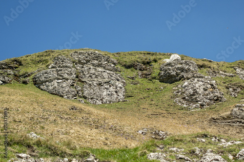Large rock, with moss, on a field in Bucegi Mountains, Bucegi National Park, Romania