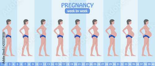 Week by week pregnancy stages of pregnant woman with pants