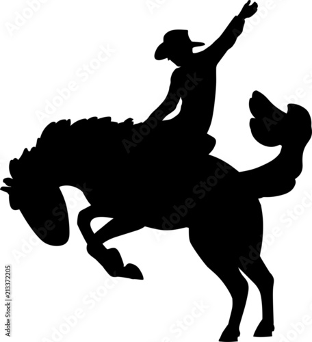 Cowboy Rodeo