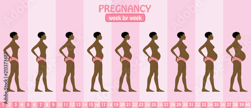 Week by week pregnancy stages of pregnant black woman with pants