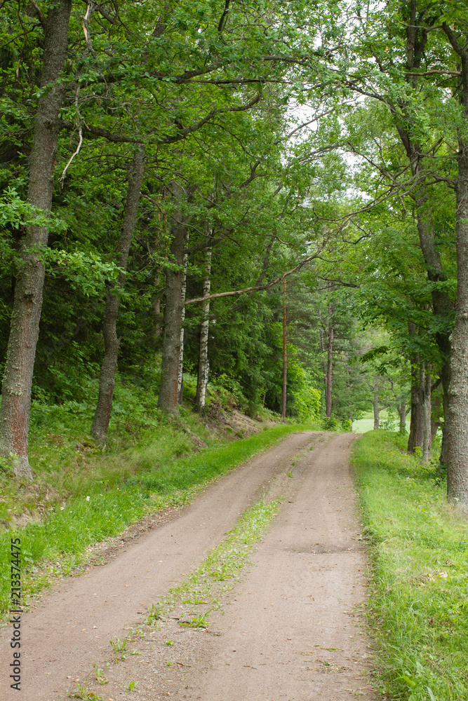 graveled road graveled road