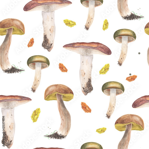 Russules and Boletus edulis mushrooms, seamless pattern. Watercolor painting. Isolated on a white background.