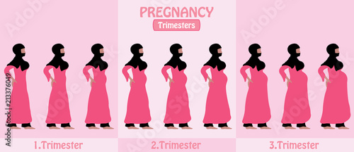 Pregnancy Trimesters of pregnant muslim woman with religious veil hijap photo