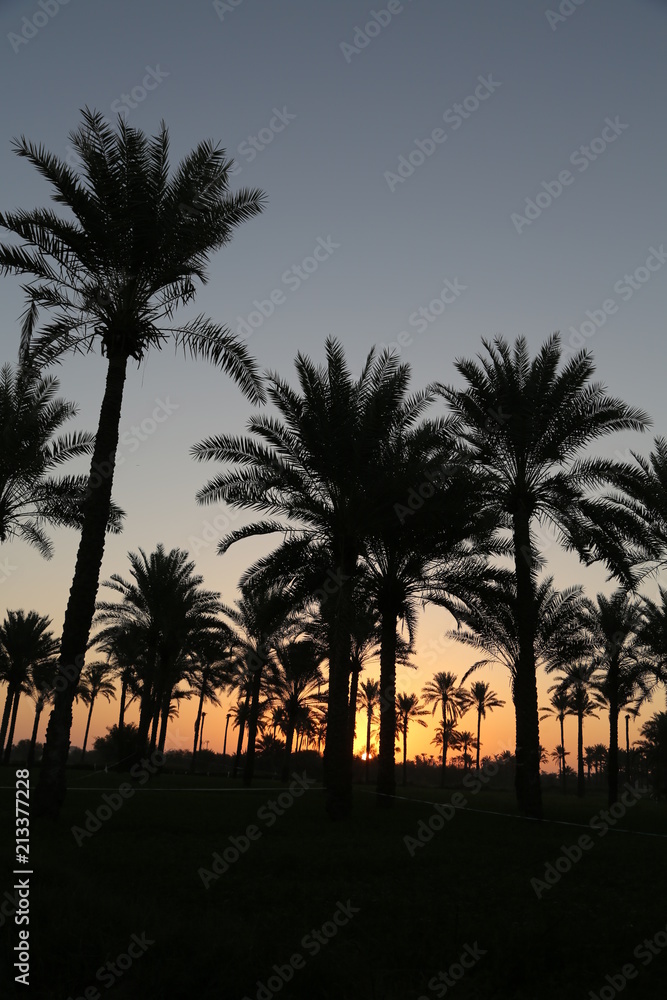 Obraz premium sohar sunset غروب صحار