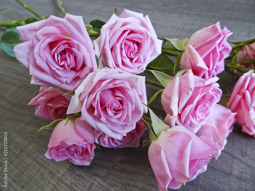 Branch of pink roses on a background of dark wood. Buds of pink roses. Macro.