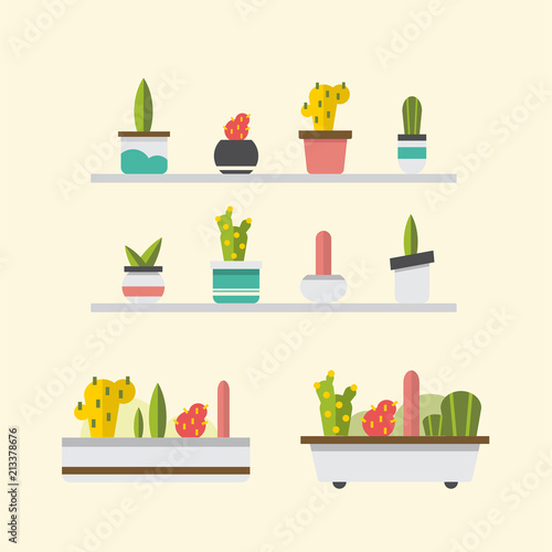 Set of cactus potted in pots and vase on shelve collection