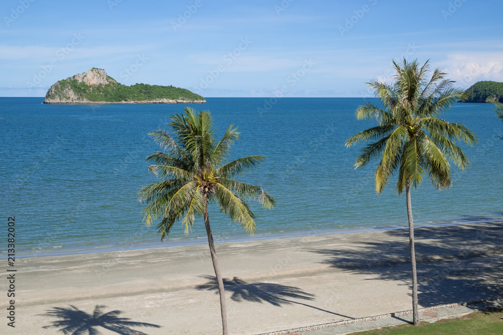 Tropical beach with green palm trees and blue sky in Thailand