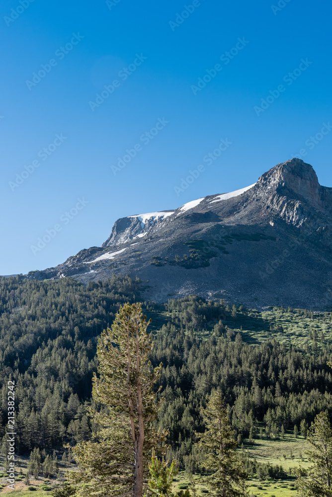 Alpine area of Tioga Pass in Yosemite National Park in California.