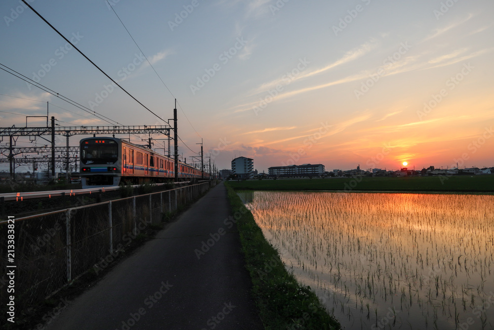 Obraz premium 夕日に染まる水田と埼京線の風景