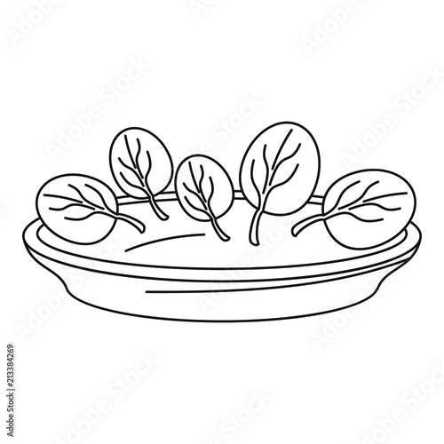 Spinach plate icon. Outline illustration of spinach plate vector icon for web design isolated on white background