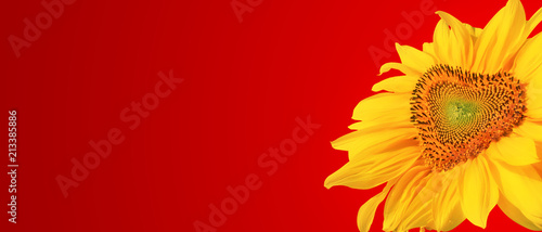 Fototapeta Naklejka Na Ścianę i Meble -  Wunderschöne Sonnenblume mit Form eines Herzens