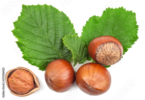 Hazelnut and green leaves of hazelnut isolated on white, top view