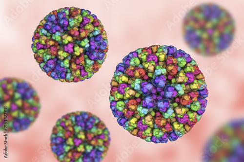 Bluetongue virus BTV, 3D illustration. A virus transmitted by the midge Culicoides, causes Bluetongue disease at ruminants, mainly sheep, characterized by fever and swollen, cyanotic tongue