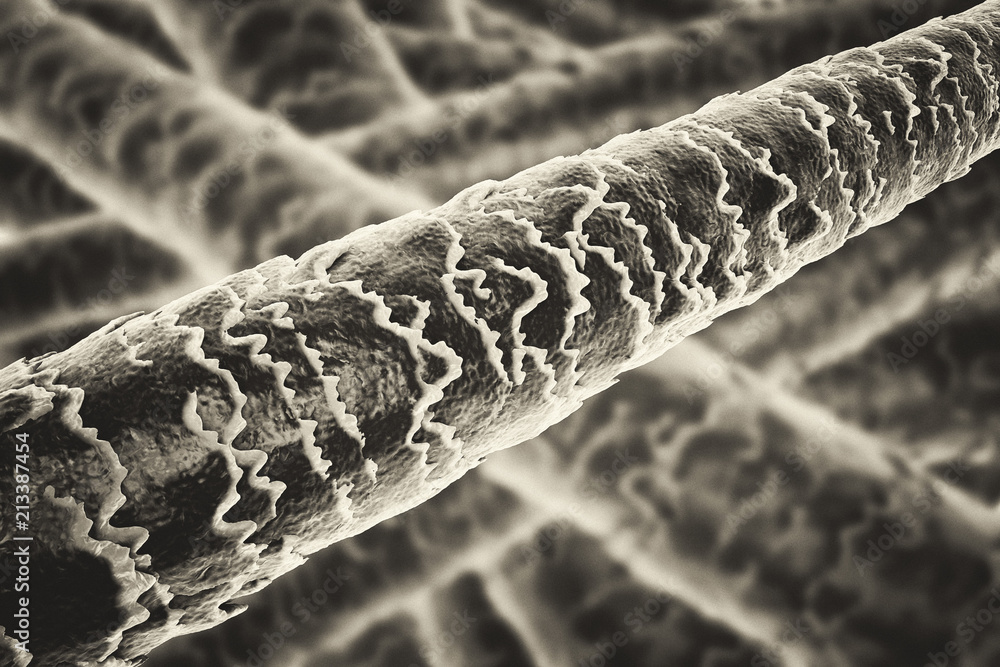 Human hair up close clearance