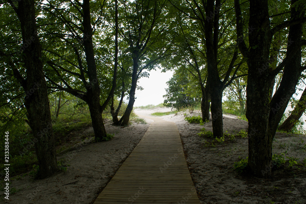 Boardwalk through shadowy trees to the beach in Parnu, Estonia Boardwalk through shadowy trees to the beach in Parnu, Estonia