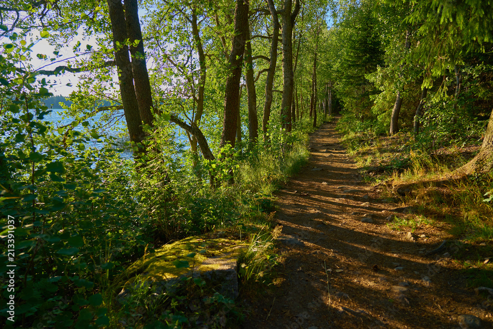 Forest road by the lake shore with shadows on sunset. Forest road by the lake shore with shadows on sunset.