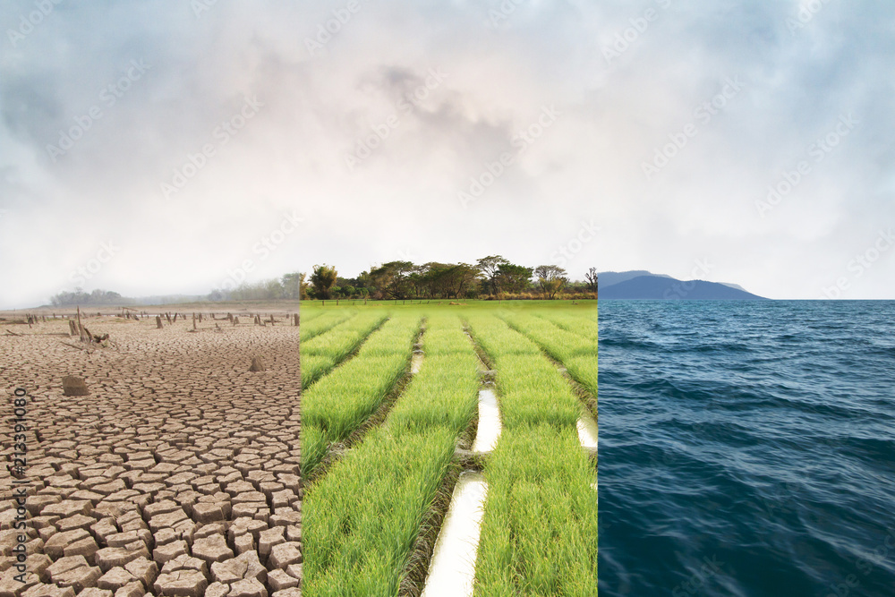 Climate change, compare image with Drought, Green field and Ocean metaphor Nature disaster, World climate and Environment, Ecology system. - obrazy, fototapety, plakaty 