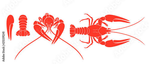 Crayfish logo. Isolated crayfish on white background photo