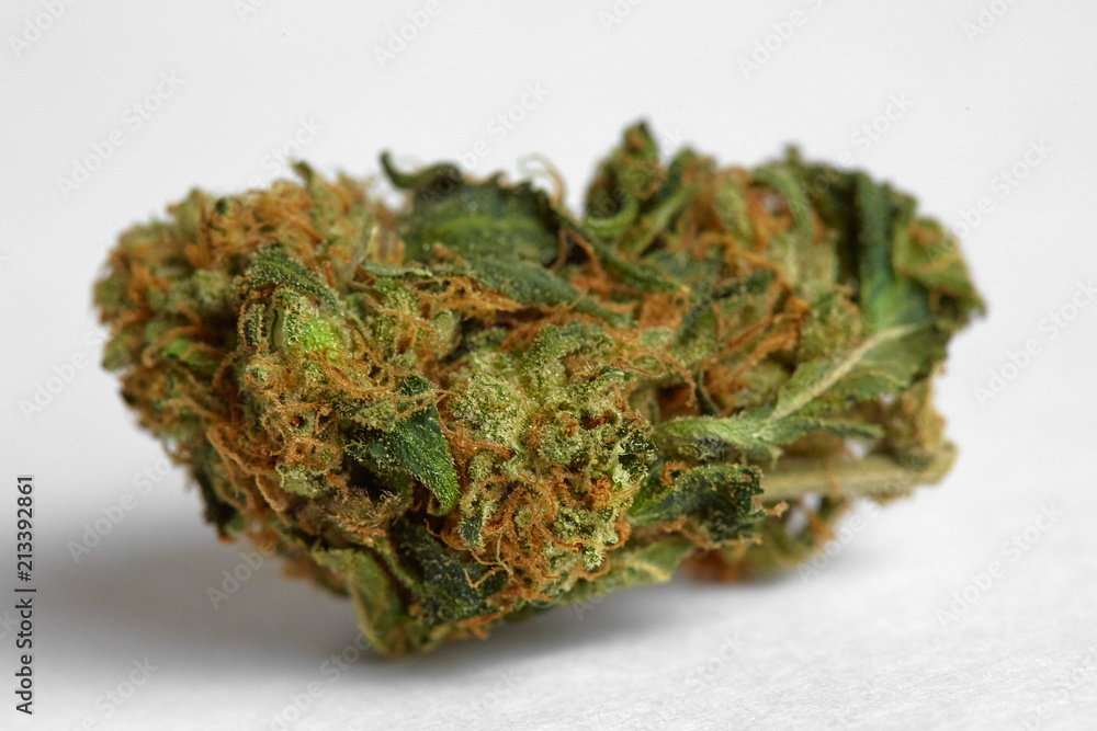 Close up of prescription and recreational indica medical marijuana isolated on monochrome background Close up of prescription and recreational indica medical marijuana isolated on monochrome background