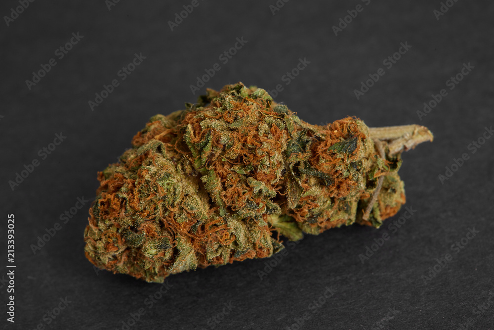 Close up of prescription and recreational indica medical marijuana isolated on monochrome background Close up of prescription and recreational indica medical marijuana isolated on monochrome background