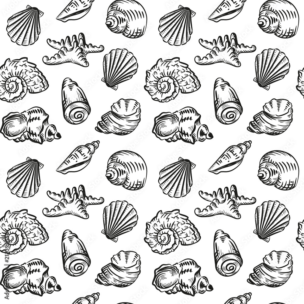 Sea shells hand drawn sketch style illustration pattern isolated on white background Sea shells hand drawn sketch style illustration pattern isolated on white background