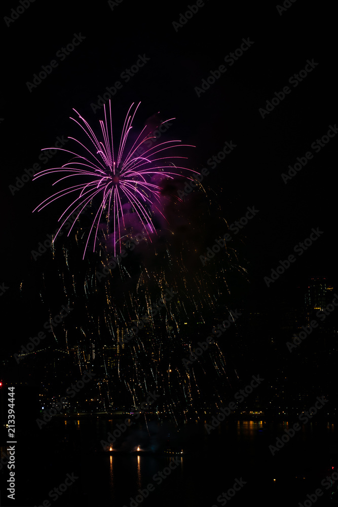 Colorful Purple Fireworks Against Dark Sky with City Skyline in Background
