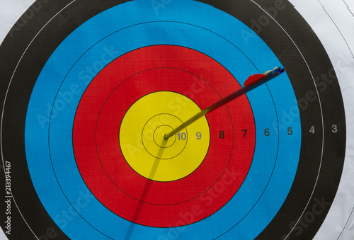 A colorful shield with an arrow shot in the center itself, a good shot.