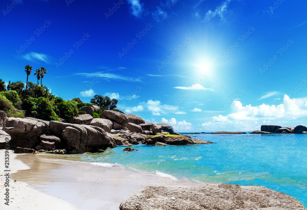 Obraz premium Loney Beach in Cape Town South Africa