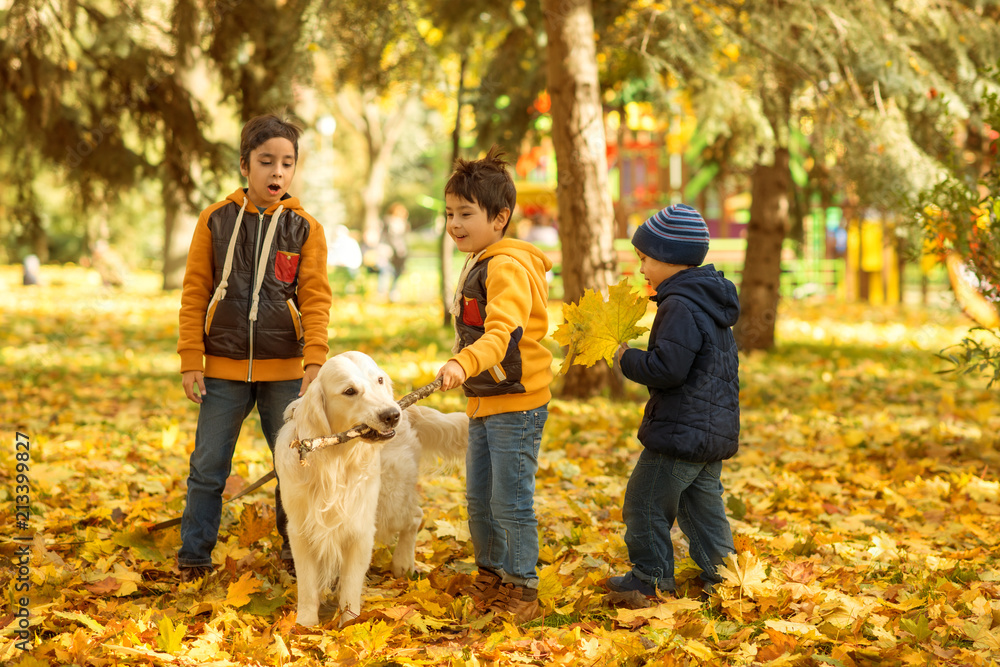 A small three boys emotionally play with large white Labrador dog. A small three boys emotionally play with large white Labrador dog.