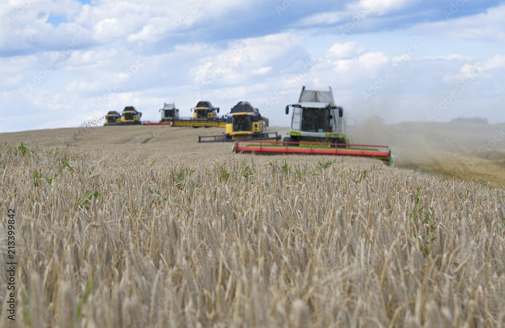 Fototapeta premium harvester machine
