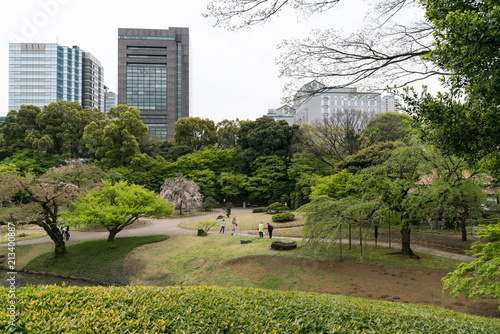 Parklandschaft des Koishikawa Korakuen Gartens in Tokio, im Hintergrund Hochhäuser photo