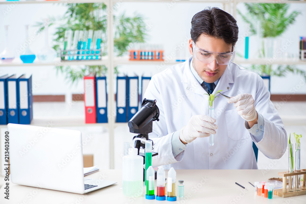 Male biochemist working in the lab on plants Male biochemist working in the lab on plants
