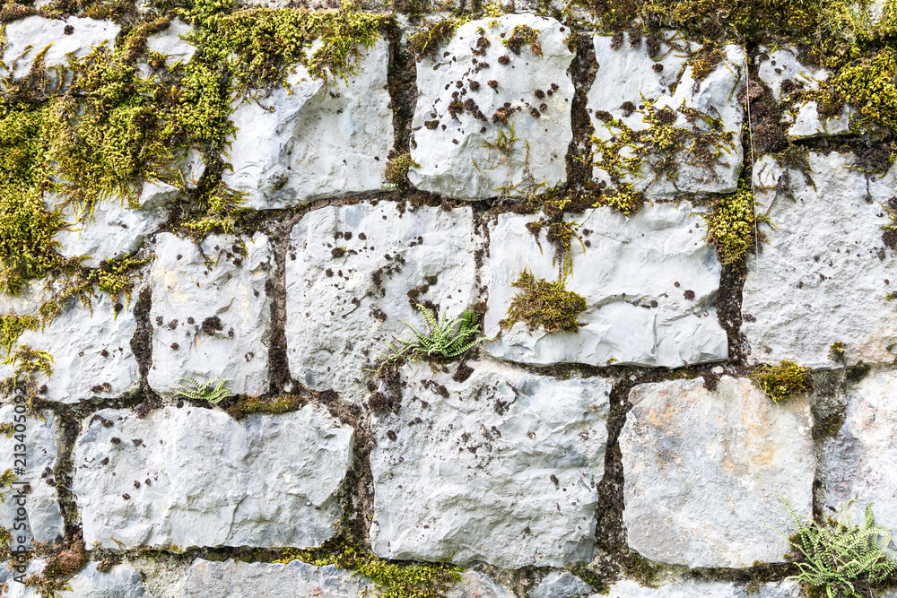Old mossy stone texture 