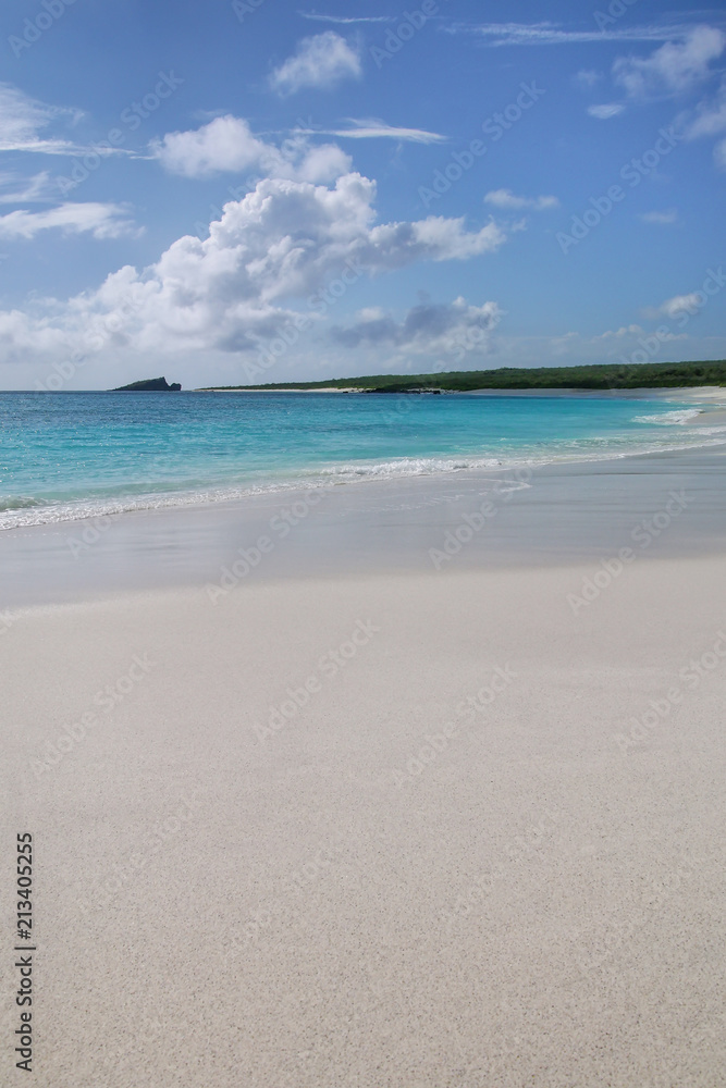 Obraz premium Sandy beach at Gardner Bay, Espanola Island, Galapagos National park, Ecuador