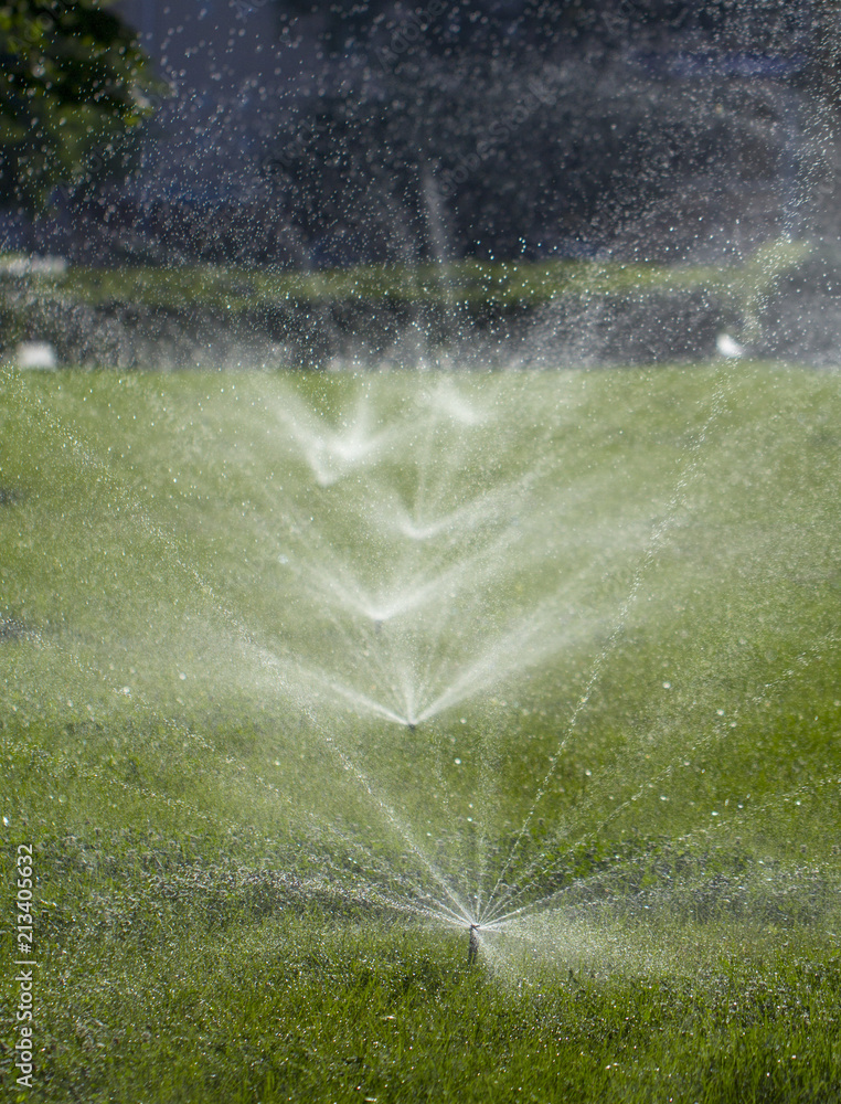 Obraz premium automatic sprinkler system watering the lawn on a background of green grass