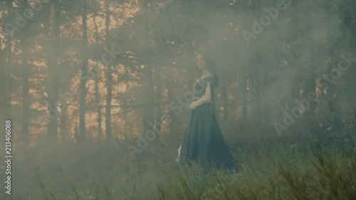 Mysterious elf woman is moving in magic smoke in a woodland. She is looking at camera and stepping on a grass, dark twilight