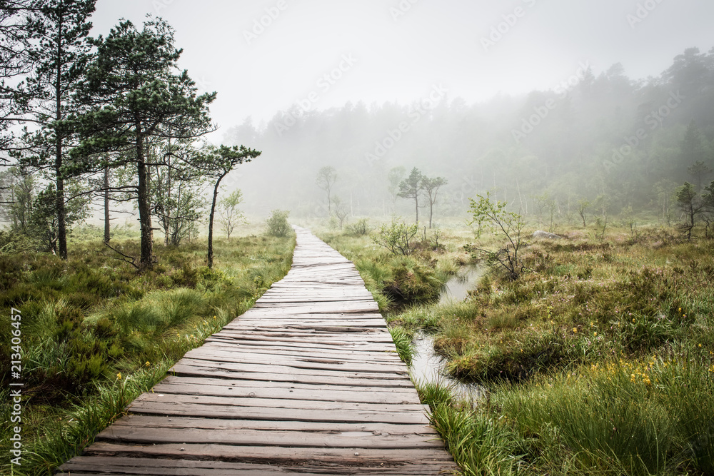 Fototapeta premium Swamp wooden path walkway to Trolltunga Norway