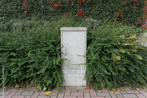 Gray electrical cabinet surrounded by green bushes on the sidewalk in the summer