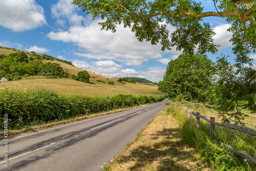 A country road in Sussex surrounded by green fields, taken on a sunny summer's day © lemanieh