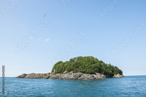 Giresun island aka amazon island in giresun city of turkey's Black Sea region photo