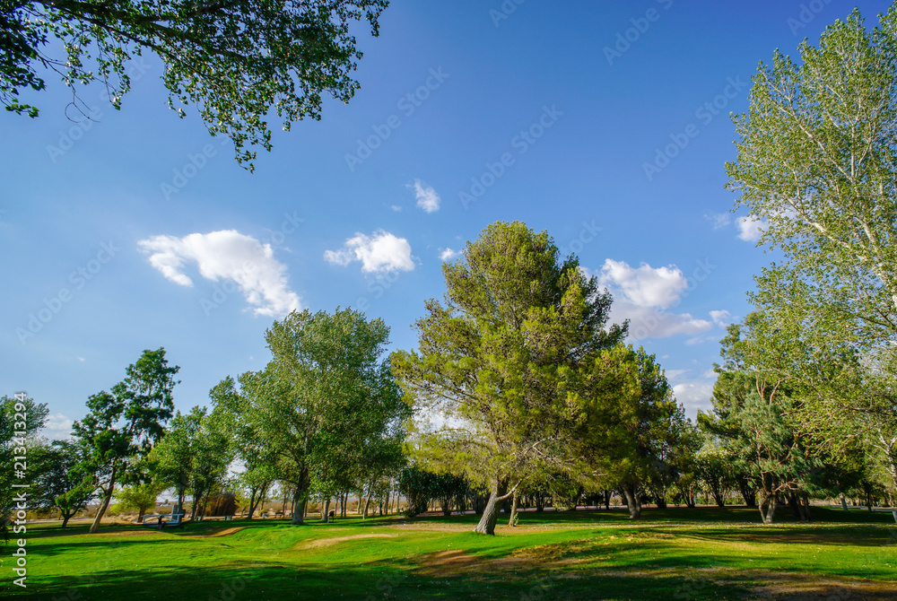 Obraz premium Apollo Park, California City, Park, Nature