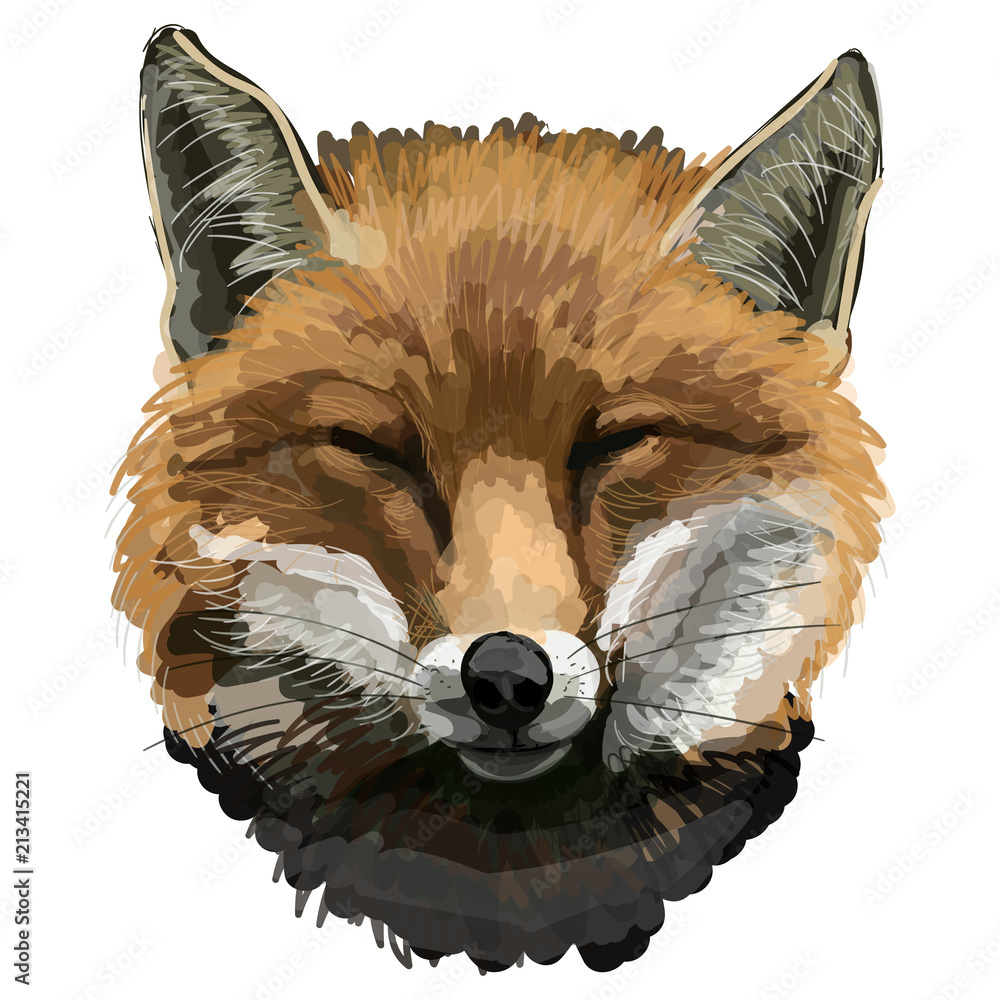 Vector portrait of red fox. Fox head closed eyes. Traditional and watercolor effect. Stock Vector | Adobe