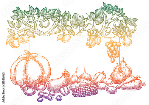 Harvest sketch background